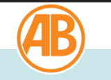 Aaron Biby Web Services LLC logo