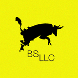 BS LLC logo