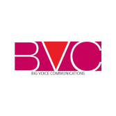 Big Voice Communications, LLC Logo