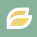 Bing Design logo