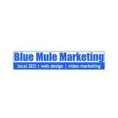 Blue Mule Marketing Logo