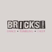 Bricks Studio Logo