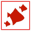 Cleverfish logo