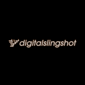 Digital Slingshot logo