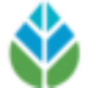 Digital Sprout  logo