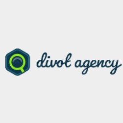 Divot Agency logo