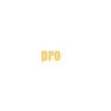 Flash Pro Design logo