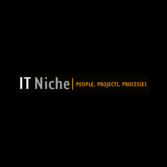 IT Niche logo