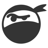 Intellectual Ninjas logo