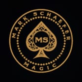 Mark Schaefer Magic Logo
