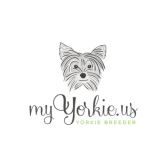 MyYorkie.US Logo
