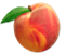 Peach Webdesigns logo