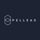 Pelleas Group LLC logo