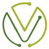 Team V Technology  logo