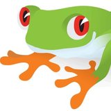 Treefrog Cinegraphix, LLC logo