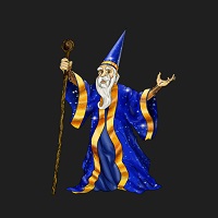 Website Wizards logo