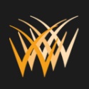 WordwrightWeb logo
